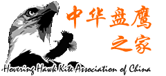 �л���ӥ֮��